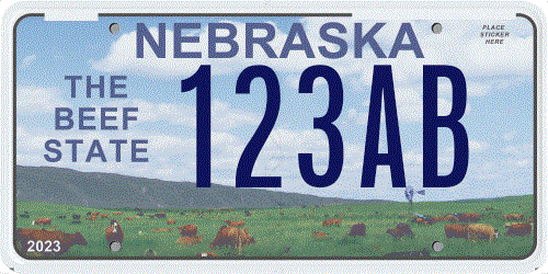 State license store plates